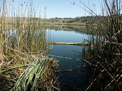 100227_Alchichica 048